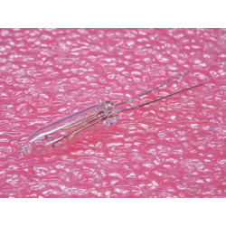 Lot de 2: lampe ampoule...