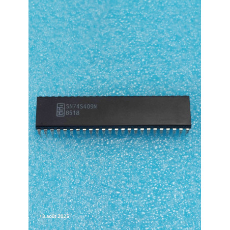 ci SN74S409N ~ ic SN 74S409 N dip48 Circuit Intégré New Old Stock ( PLA002 )