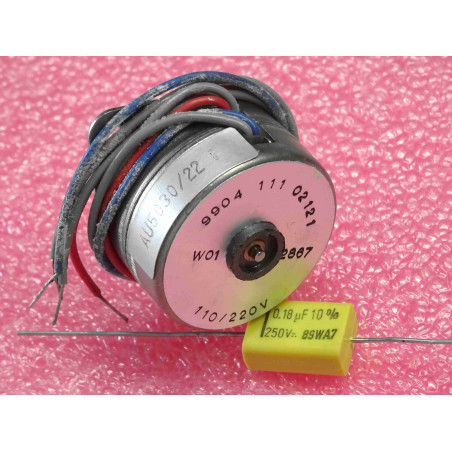 Lot de 5: moteur 9904 111 02121 AU 5030 /22 ~ moteur 990411102121 , AU5030/22 ~ 110v / 220v (M17)