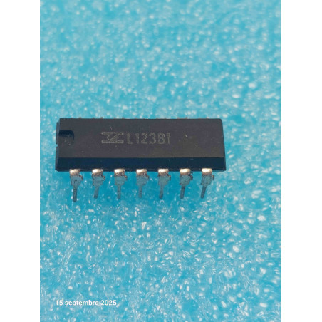 ci L123B1 ~ ic L123 B1 Circuit Intégré Vintage dip14 New Old Stock   ( PLA010 )