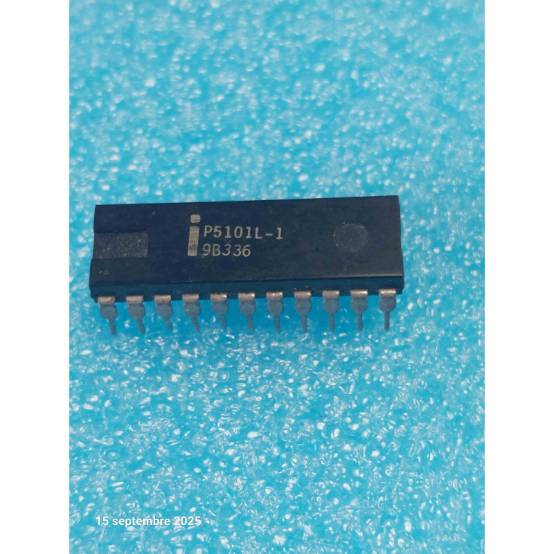 ci P5101L-1 ~ ci P5101 -L  boitier Dip22 Integrated Circuit NOS  ( PLA007 )