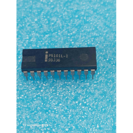 ci P5101L-1 ~ ci P5101 -L  boitier Dip22 Integrated Circuit NOS  ( PLA007 )