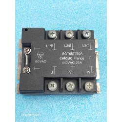 Relais CELDUC SGT667750A...