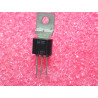 Lot de 2: transistor BF 761 ~ BF761 ~ Silicon , PNP ~ Ucb 300V , Uce 300V , Ueb 5V , Ic 500mA (tiro25)