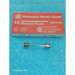 Boîte de 10 Fusible Rapide 6x32mm 6x30 F 750mA - T32R 0.75A Flipper / Sono / HIFI   ( M2A )