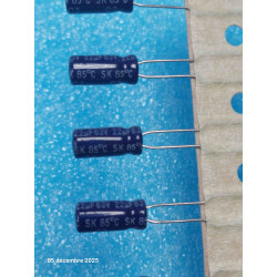 Lot de 10p 22MF 22 µF 22 UF...