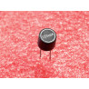 Lot de 5: microfusible mini fusible radial TR5 rapide 125mA ( 0.125A ) entraxe 5.08mm ~ Ø8x7mm (N10)