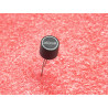 Lot de 5: microfusible mini fusible radial TR5 rapide 160mA ( 0.16A ) entraxe 5.08mm ~ Ø8x7mm (N10)