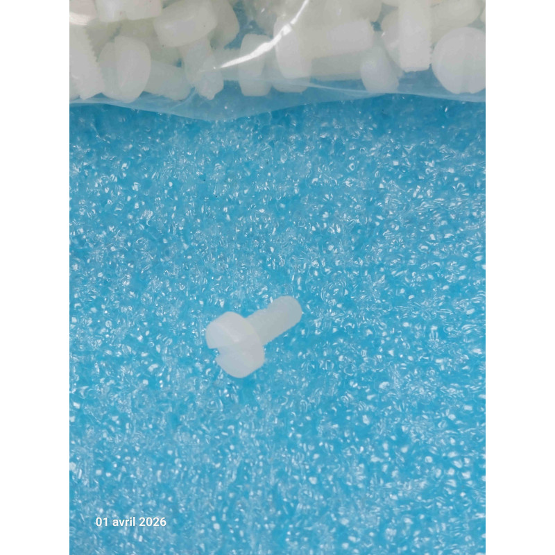 Lot de 50 Vis Nylon M3x6mm Vis Isolante Tête Cylindrinque Fendue  M3 lg: 6mm Nylon 3mm de diamètre ( 2Y3 )