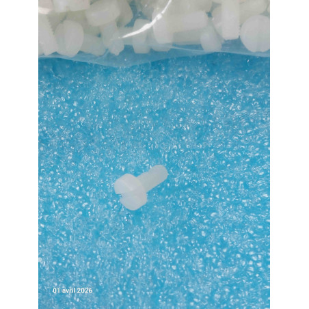 Lot de 50 Vis Nylon M3x6mm Vis Isolante Tête Cylindrinque Fendue  M3 lg: 6mm Nylon 3mm de diamètre ( 2Y3 )