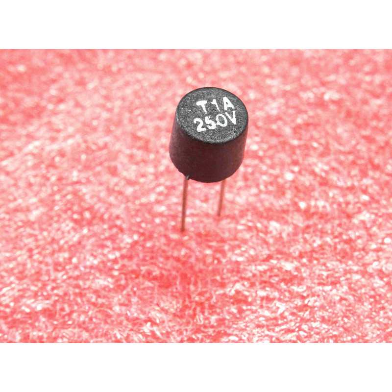 Lot de 5: microfusible mini fusible radial TR5 temporisé 1A ( 1000mA ) 250V ~ entraxe 5.08mm , Ø8x7mm (N10)